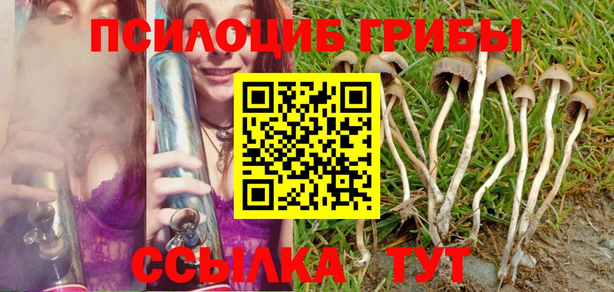 Галлюциногенные грибы Psilocybine cubensis  дарнет шоп  Киселёвск  Псилоцибиновые грибы прущие грибы  Вход с VPN 