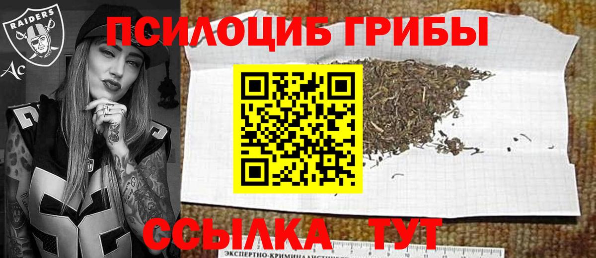Псилоцибиновые грибы Magic Shrooms Киселёвск